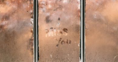 black metal framed glass window
